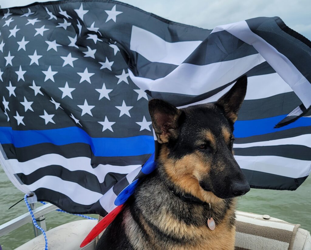 German Shepherd in front of Blue Line flag